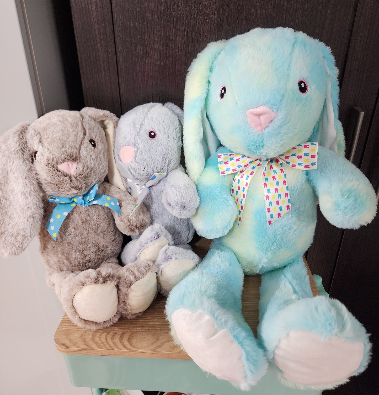 Personalized Stuffed Bunnies